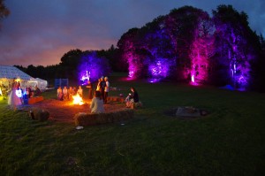 Outdoor Wedding Tree Uplighting